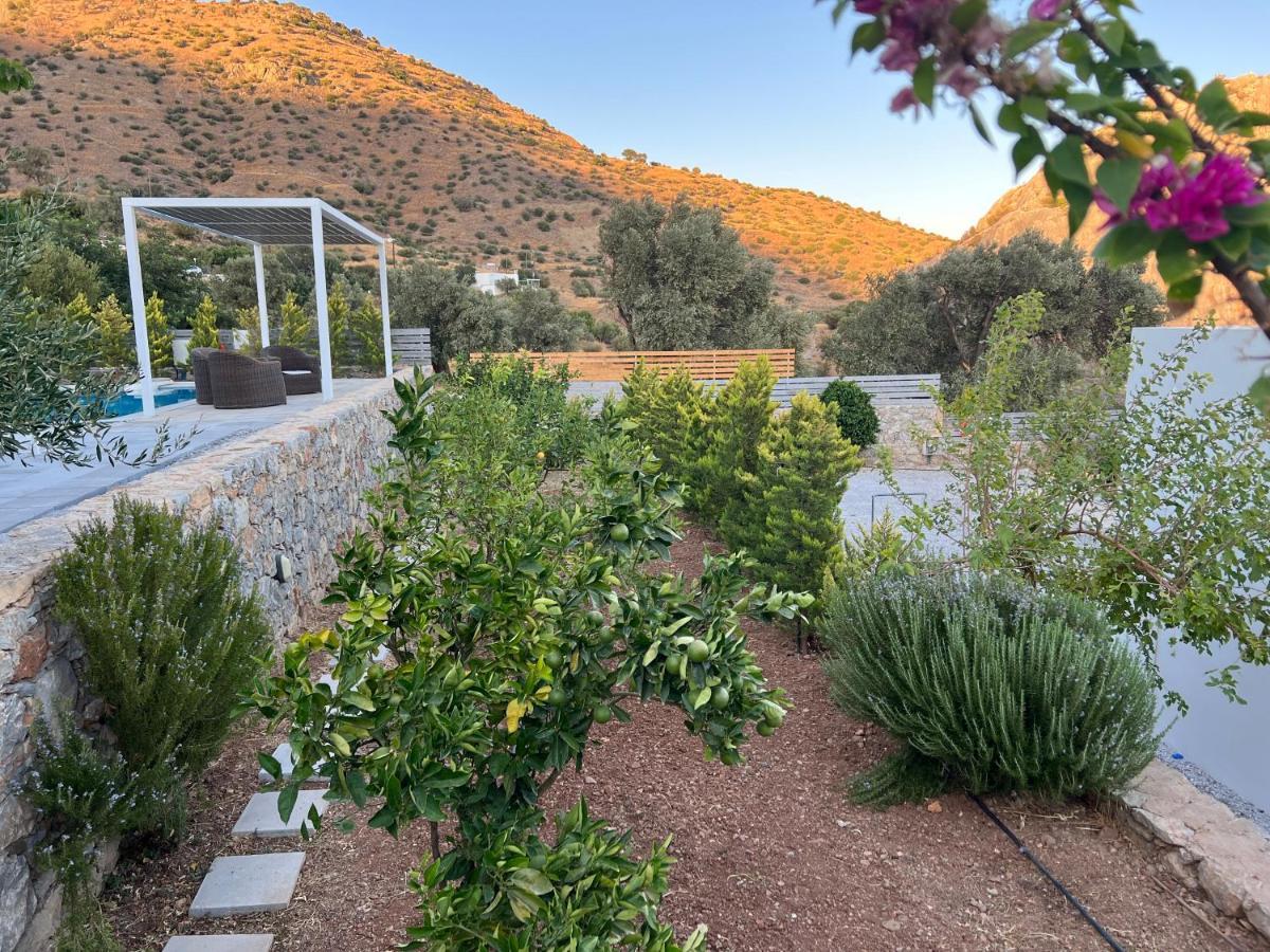 Evgoro Luxury Suites Agia Galini Dış mekan fotoğraf