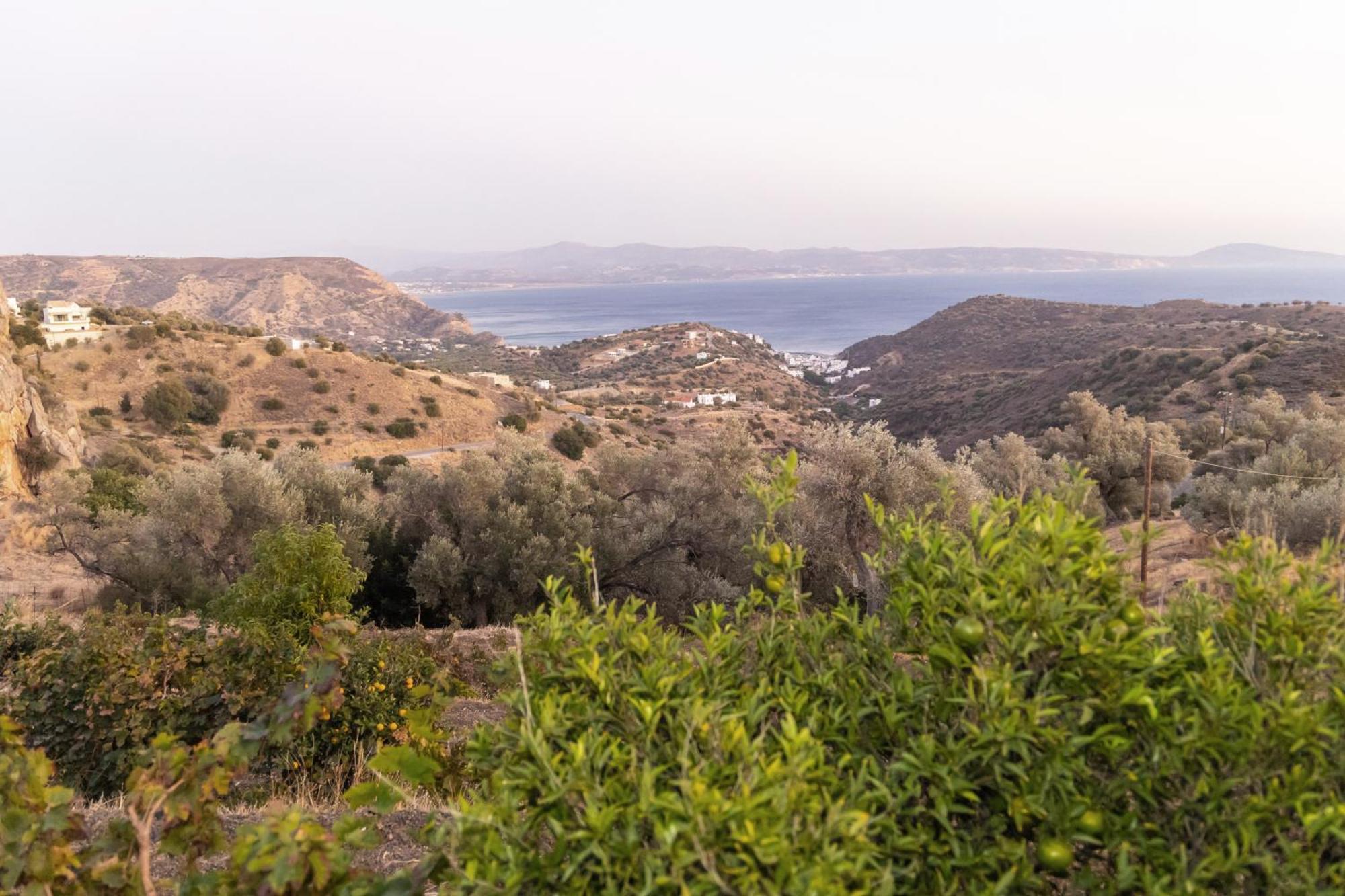 Evgoro Luxury Suites Agia Galini Dış mekan fotoğraf